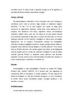 Konspekts 'Ekoviesnīca', 6.