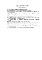 Paraugs 'Drošības noteikumi pirmsskolai', 6.