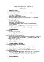 Paraugs 'Drošības noteikumi pirmsskolai', 35.