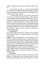 Konspekts 'Globalizācija. Sociālā stratifikācija. Pārapdzīvotība', 6.