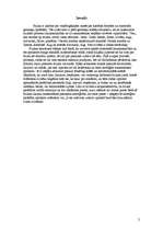 Referāts 'Visums', 2.