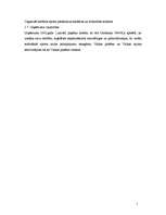 Referāts 'Personālvadības analīze “Burton fitness” uzņēmumā', 5.