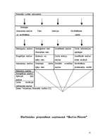 Referāts 'Personālvadības analīze “Burton fitness” uzņēmumā', 14.