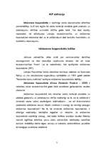 Referāts 'IKP Latvijā no 1991.-2005.gadam', 3.