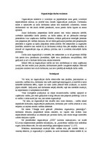 Referāts 'Organizācijas kultūra uzņēmumā', 4.