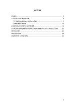 Referāts 'Iedzīvotāju migrācijas iemesli Eiropas Savienībā', 2.