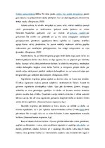 Referāts 'Iedzīvotāju migrācijas iemesli Eiropas Savienībā', 7.