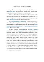 Referāts 'Iedzīvotāju migrācijas iemesli Eiropas Savienībā', 12.