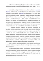 Referāts 'Latvijas iedzīvotāju diferenciācija pēc ienākumiem un sociālais klimats sabiedrī', 6.