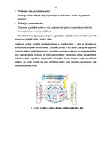 Referāts 'Kvalitātes vadība', 6.