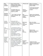 Konspekts 'Treniņa / ķermeņa sagatavošana slodzei (iesildīšanās) plāns', 3.