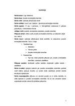 Referāts 'Jauniešu savstarpējās attiecības', 3.