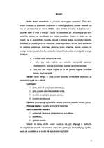 Referāts 'Jauniešu savstarpējās attiecības', 5.