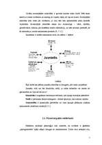 Referāts 'Jauniešu savstarpējās attiecības', 7.