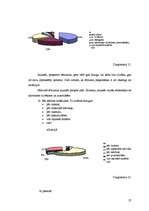 Referāts 'Jauniešu savstarpējās attiecības', 27.