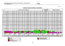 Referāts 'Treniņu plāna projekts (FITNESS)', 20.