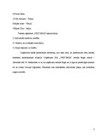 Prakses atskaite 'Projektu vadības prakse tūrisma aģentūrā "Viktorija"', 6.