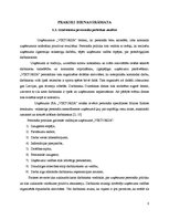 Prakses atskaite 'Projektu vadības prakse tūrisma aģentūrā "Viktorija"', 8.