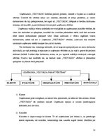 Prakses atskaite 'Projektu vadības prakse tūrisma aģentūrā "Viktorija"', 10.