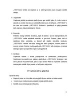 Prakses atskaite 'Projektu vadības prakse tūrisma aģentūrā "Viktorija"', 11.