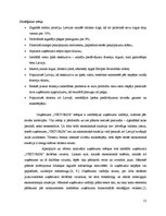 Prakses atskaite 'Projektu vadības prakse tūrisma aģentūrā "Viktorija"', 12.