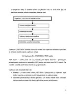 Prakses atskaite 'Projektu vadības prakse tūrisma aģentūrā "Viktorija"', 13.