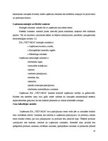 Prakses atskaite 'Projektu vadības prakse tūrisma aģentūrā "Viktorija"', 19.