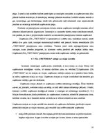 Prakses atskaite 'Projektu vadības prakse tūrisma aģentūrā "Viktorija"', 20.