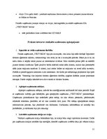 Prakses atskaite 'Projektu vadības prakse tūrisma aģentūrā "Viktorija"', 21.