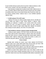 Prakses atskaite 'Projektu vadības prakse tūrisma aģentūrā "Viktorija"', 22.