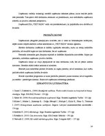 Prakses atskaite 'Projektu vadības prakse tūrisma aģentūrā "Viktorija"', 24.