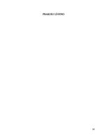 Prakses atskaite 'Projektu vadības prakse tūrisma aģentūrā "Viktorija"', 26.