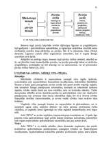 Referāts 'AAS "Baltijas transporta apdrošināšana" mārketinga vides un stratēģijas analīze ', 48.