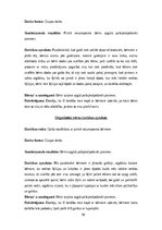 Prakses atskaite 'Pirmsskolas izglītības prakse', 10.