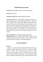 Prakses atskaite 'Pirmsskolas izglītības prakse', 11.