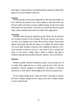 Prakses atskaite 'Pirmsskolas izglītības prakse', 14.