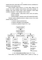 Diplomdarbs 'Latvijas komercbanku kredītu izvērtējums un analīze', 23.