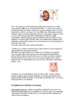 Konspekts 'Nieres', 2.