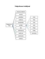 Konspekts 'Palīgteikumu iedalījumi', 1.