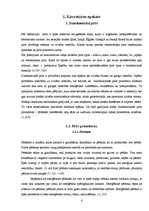 Referāts 'Dziednieciskās pirts pozitīvā ietekme uz cilvēka veselību', 6.