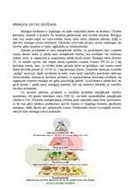 Konspekts 'Enerģija un uzturs', 2.