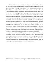 Referāts 'Maznozīmīga miesas bojājuma nodarīšana', 11.