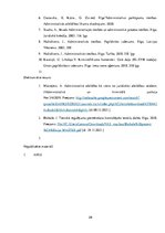 Referāts 'Maznozīmīga miesas bojājuma nodarīšana', 29.