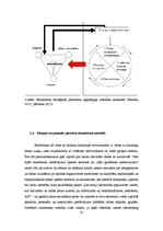 Diplomdarbs 'Ekotūrisma potenciāla modelēšana Stella vidē. Engures ezera dabas parka piemērs', 25.