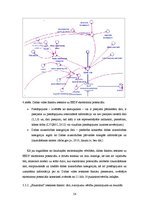 Diplomdarbs 'Ekotūrisma potenciāla modelēšana Stella vidē. Engures ezera dabas parka piemērs', 54.