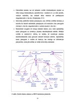Diplomdarbs 'Ekotūrisma potenciāla modelēšana Stella vidē. Engures ezera dabas parka piemērs', 58.
