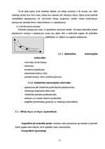 Biznesa plāns 'SIA "Easy Fitness". Trenažieru zāle', 14.