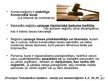 Prezentācija 'Komercreģistrs Francijā', 8.