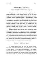 Referāts 'Hannibals', 36.