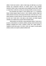 Eseja 'Audiologopēda asistējošā prakse mācību stundās', 2.